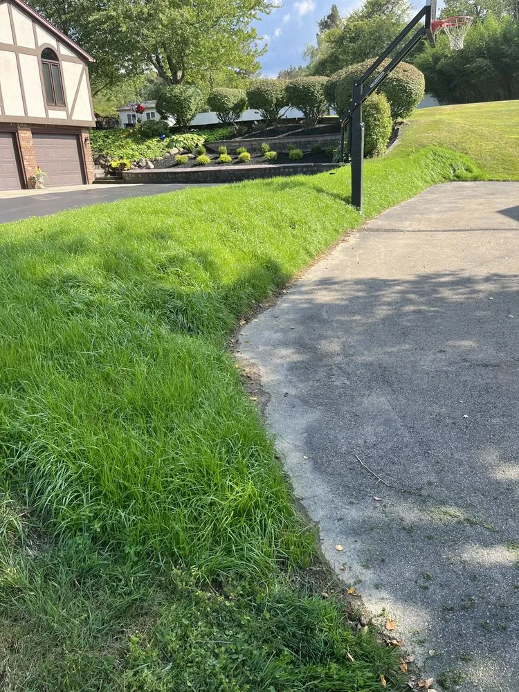 Custom yard cleanup service experts serving Orchard Park, NY - Brand Services Of WNY