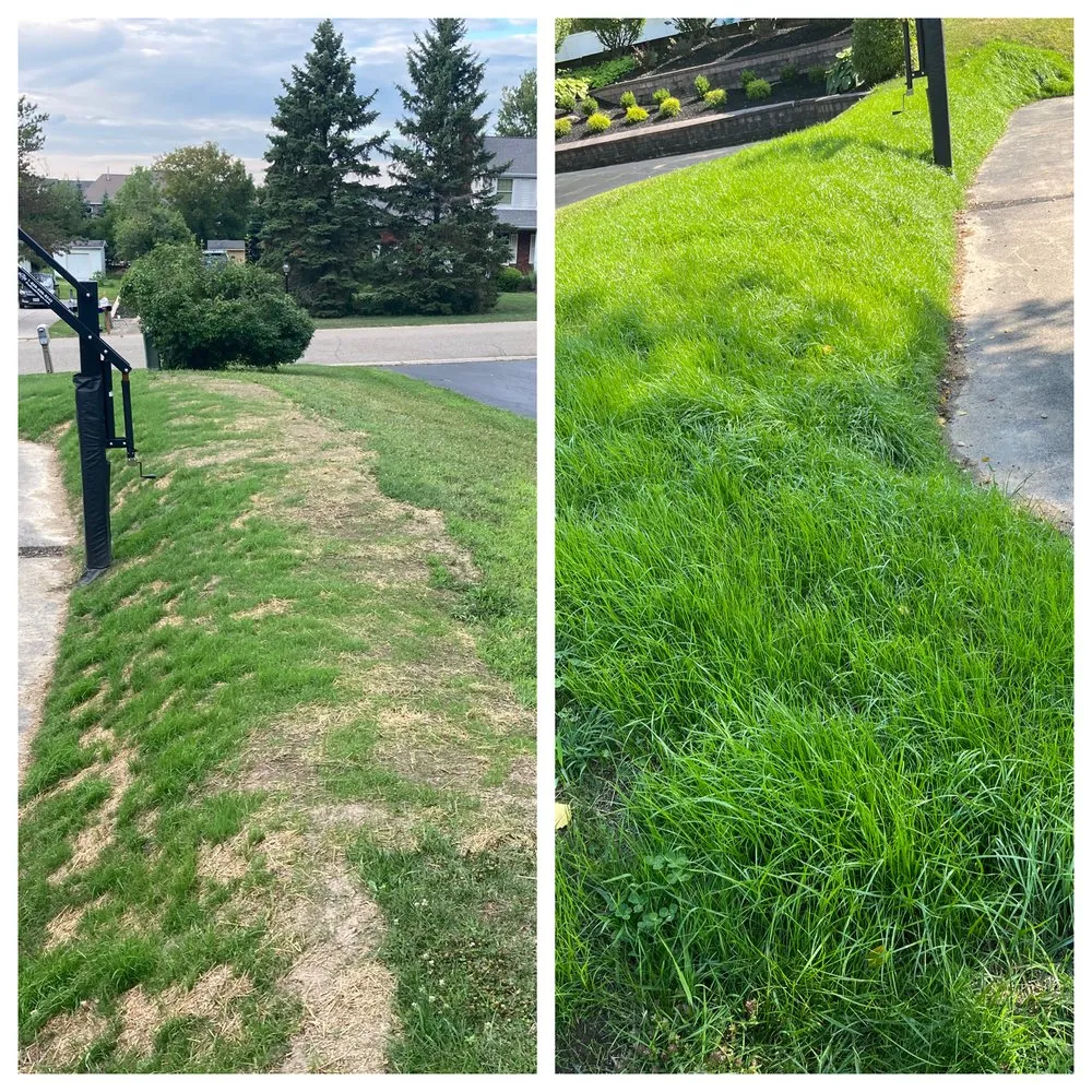 Affordable landscape design in Orchard Park, NY - Brand Services Of WNY