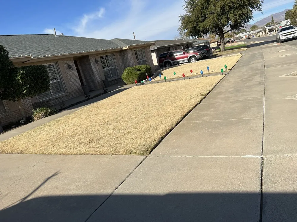 Local yard cleanup service in Horizon City, TX by Branded Ranch Home Improvement and Designs