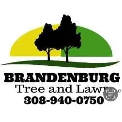 Expert lawn mowing service in Central City, NE by Brandenburg Tree & Lawn