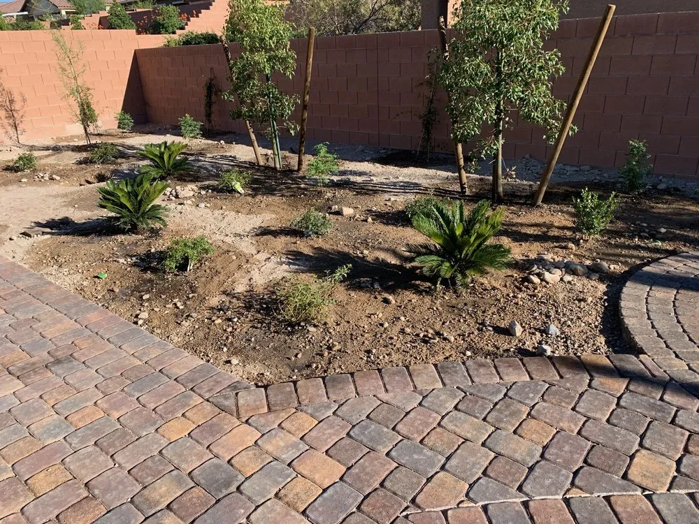 Professional lawn mowing service for residential properties in Las Vegas, NV by Brandmark Landscape