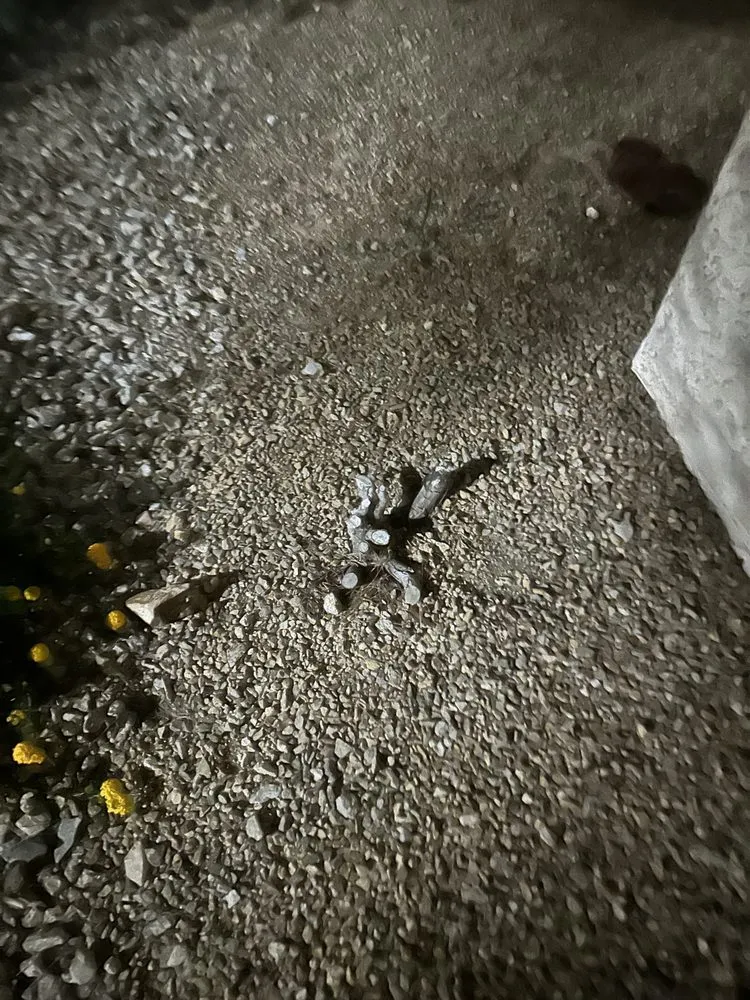 Expert landscape installation with custom design across Las Vegas, NV - Brandmark Landscape