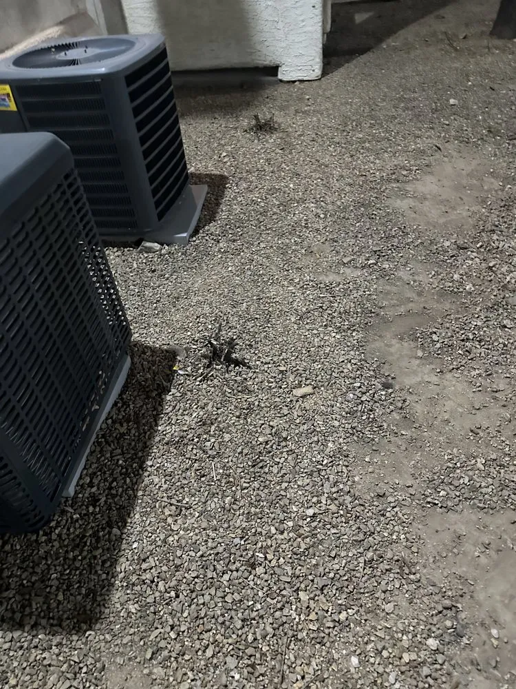 Reliable landscape design in Las Vegas, NV - Brandmark Landscape