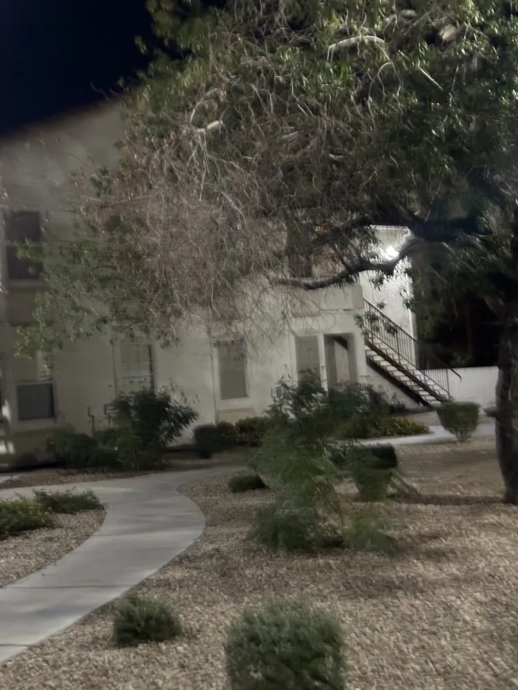 Professional landscaping services experts serving Las Vegas, NV - Brandmark Landscape