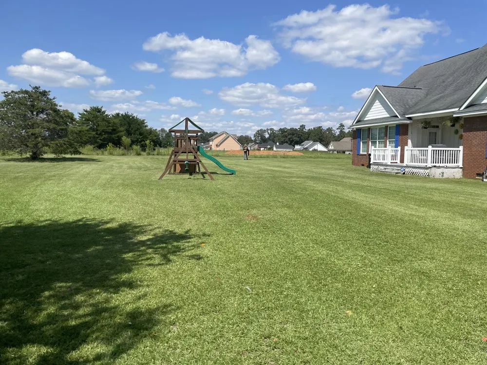 Professional landscaping services in Albany, GA by Brando Lawns