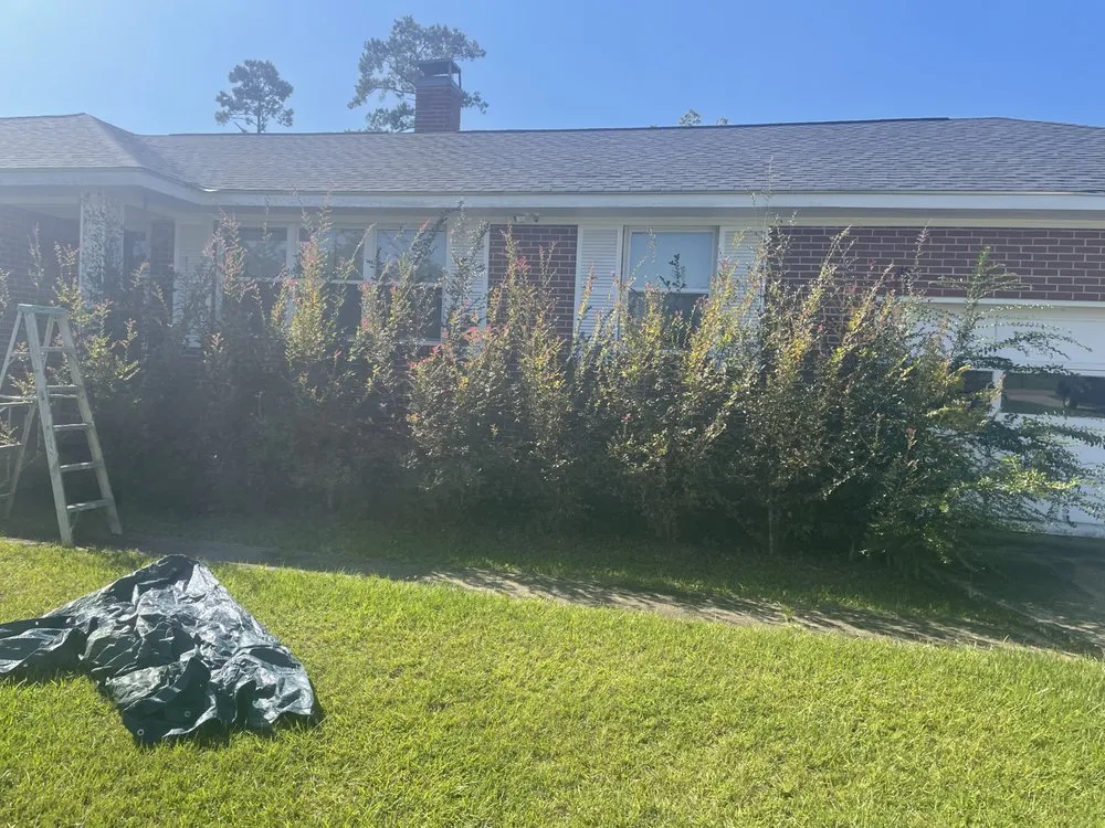 Top-rated lawn care service for homes in Albany, GA by Brando Lawns