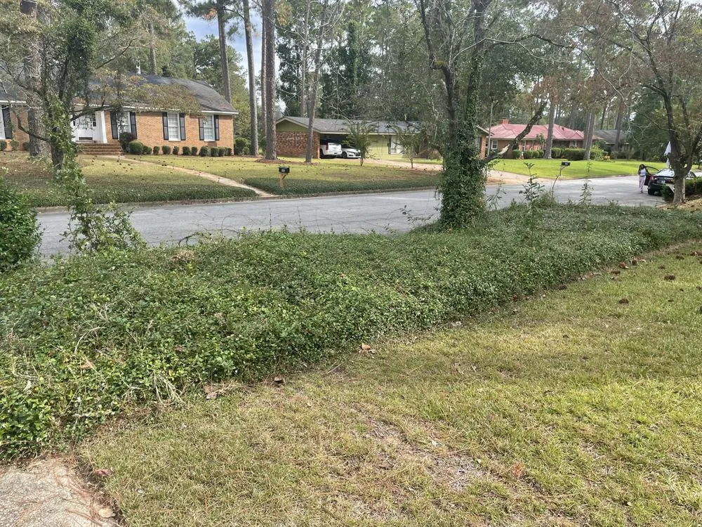 Custom yard cleanup service in Albany, GA by Brando Lawns