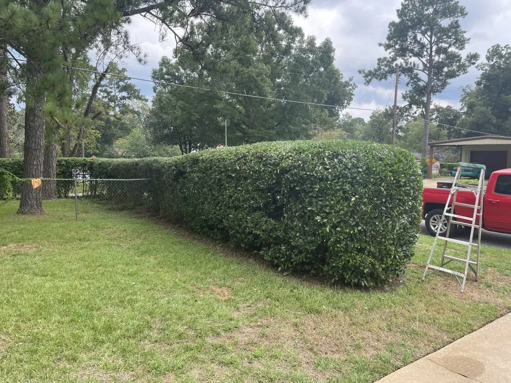 Expert landscape installation in Albany, GA - Brando Lawns