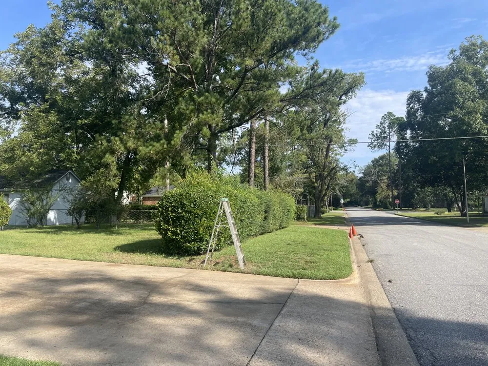 Professional landscape installation experts serving Albany, GA - Brando Lawns