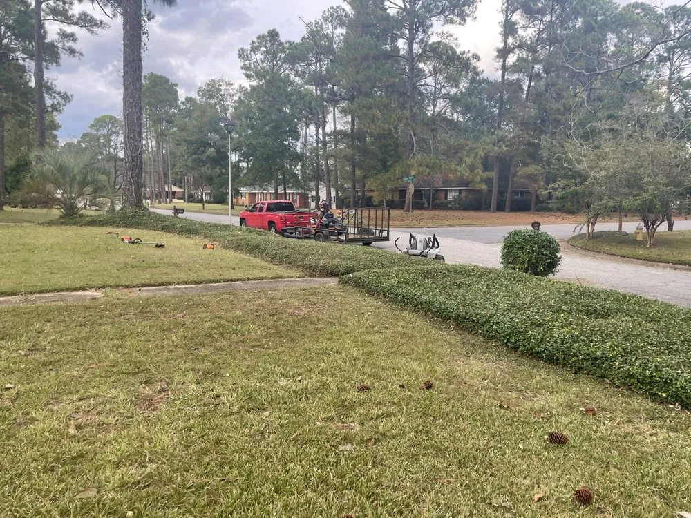 Expert landscape design in Albany, GA - Brando Lawns