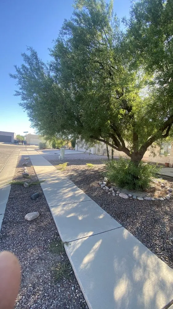 Trusted landscaping services in Tucson, AZ - Brandon & son