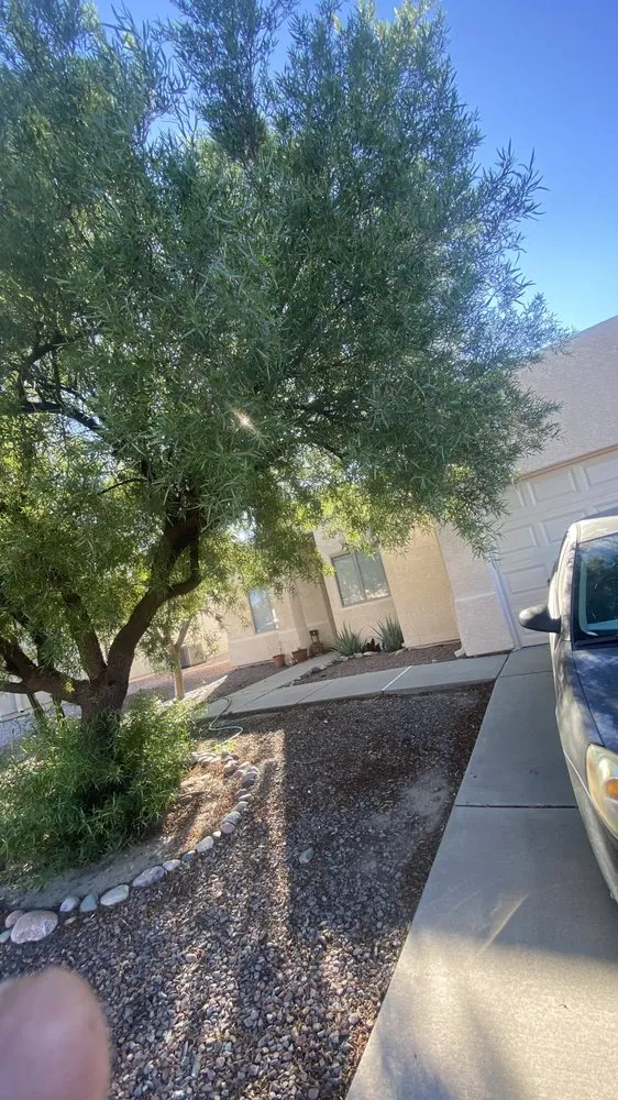 Professional outdoor landscaping in Tucson, AZ - Brandon & son