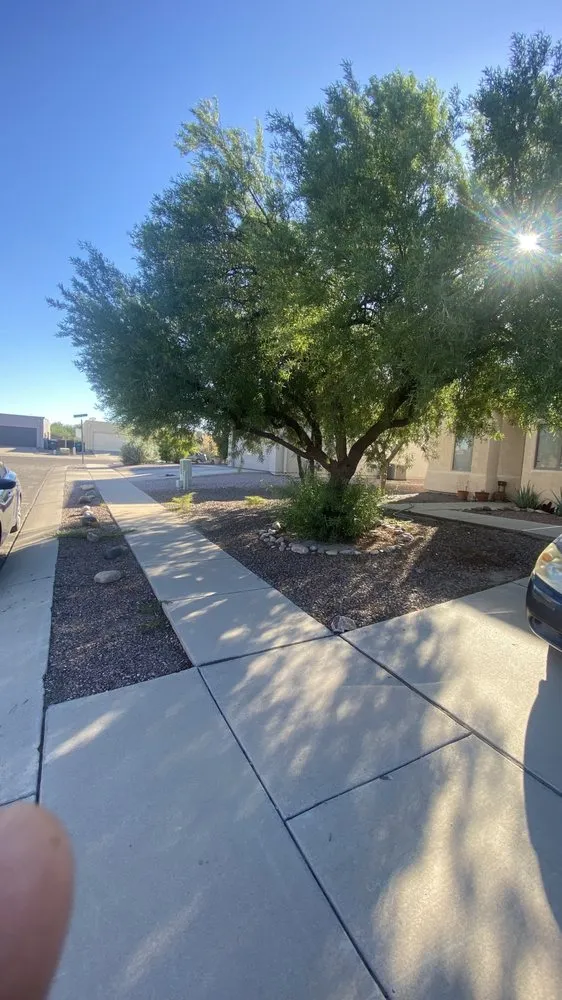 Expert outdoor landscaping near you across Tucson, AZ - Brandon & son