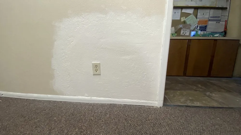 Professional lawn care service experts serving Tucson, AZ - Brandon & son