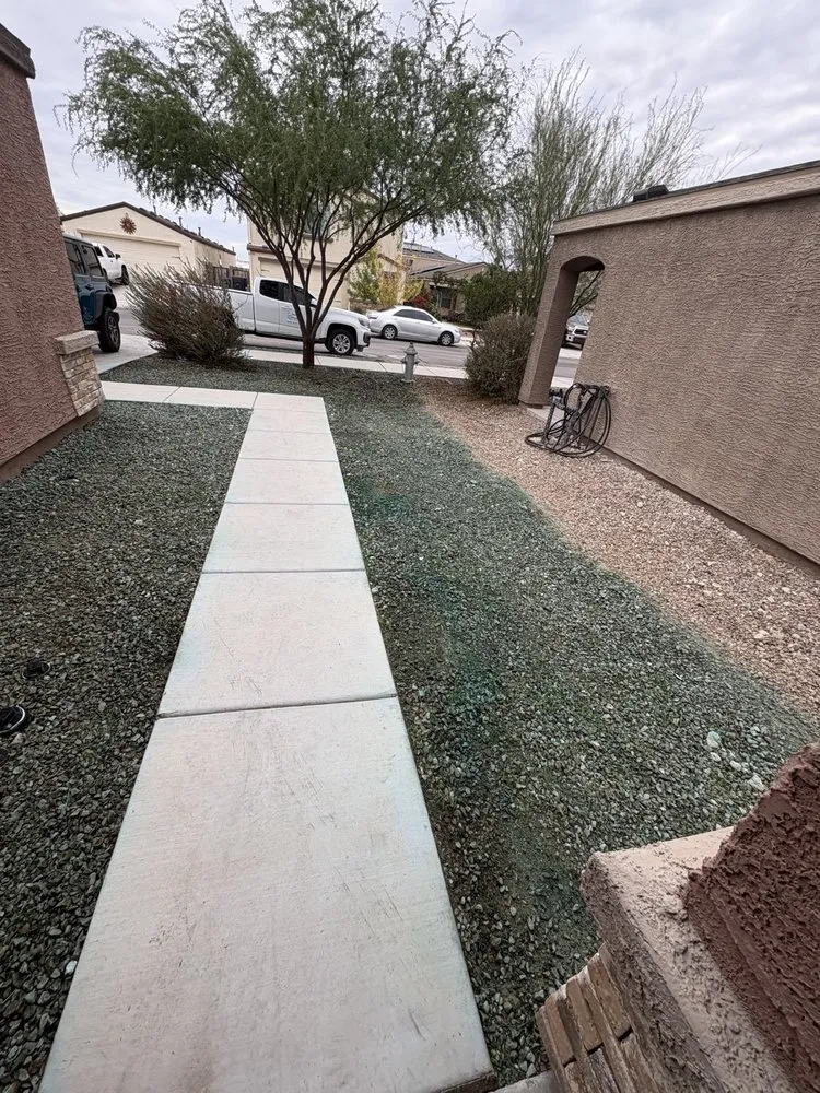 Local yard cleanup service in Tucson, AZ - Brandon & son