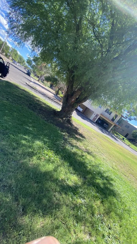 Custom landscaping services in Tucson, AZ by Brandon & son