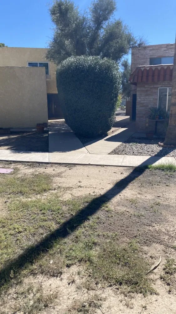 Professional outdoor landscaping for beautiful yards across Tucson, AZ - Brandon & son