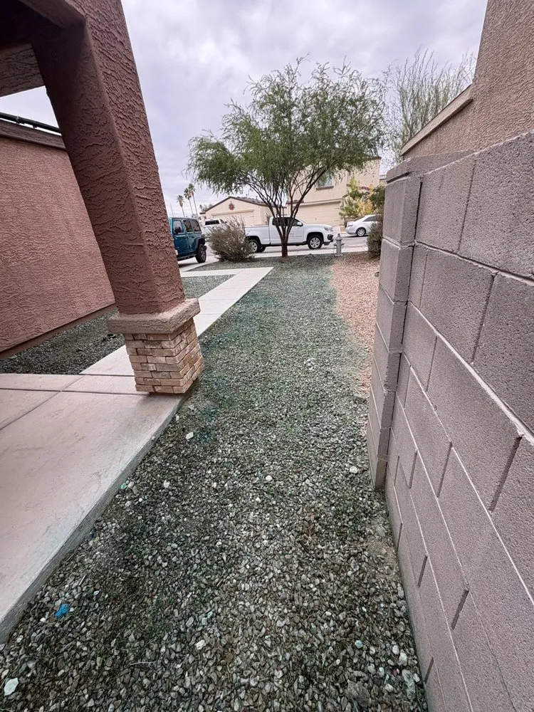 Top-rated yard cleanup service experts serving Tucson, AZ - Brandon & son