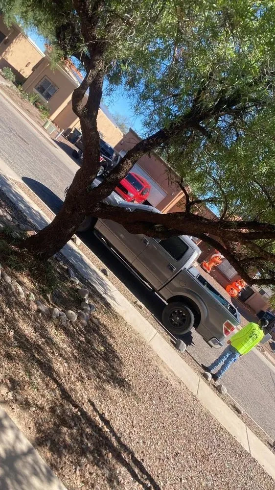 Affordable yard cleanup service experts serving Tucson, AZ - Brandon & son