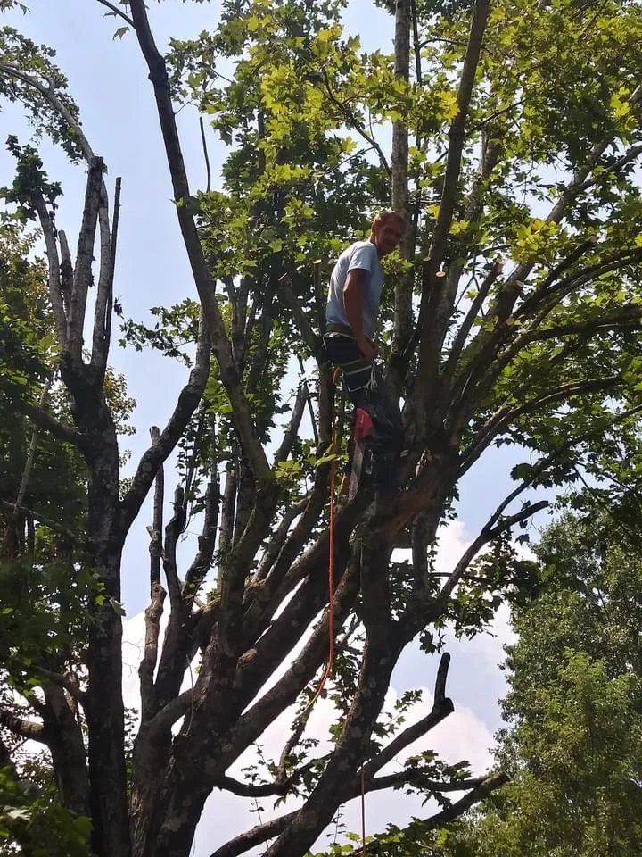 Affordable residential landscaping in Kingsport, TN - Brandon Bays Lawn & Tree Experts