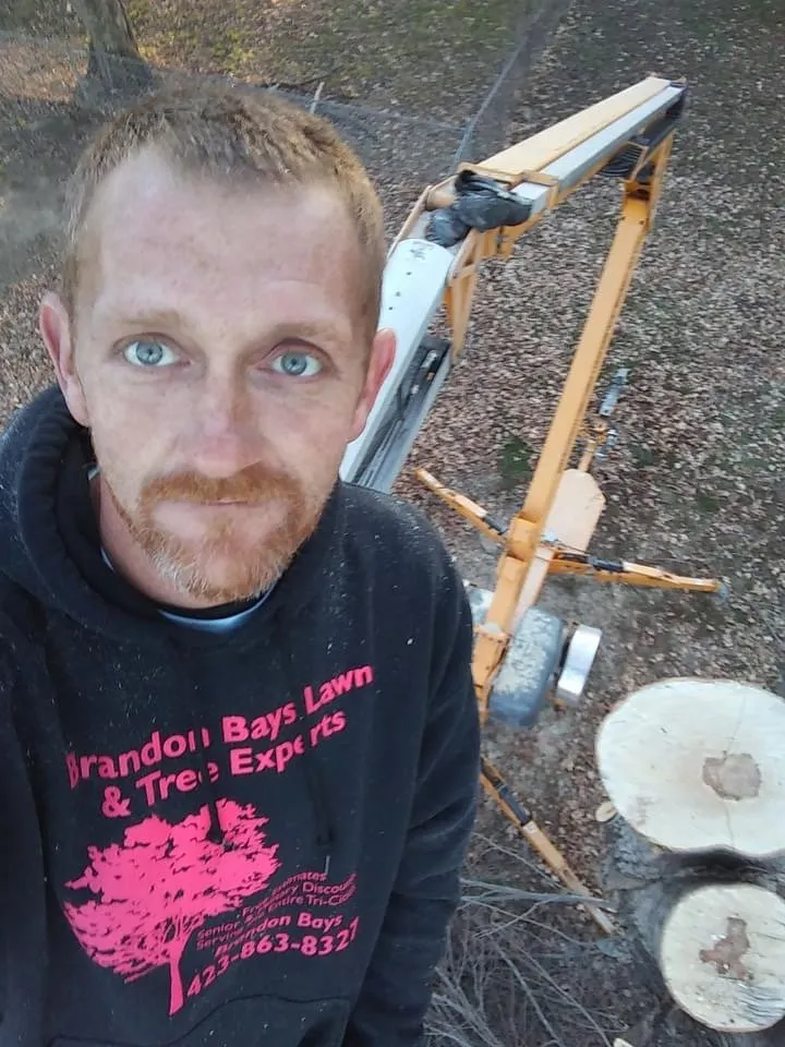 Trusted landscape installation in Kingsport, TN by Brandon Bays Lawn & Tree Experts