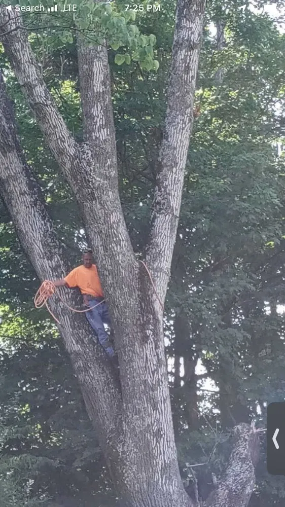 Custom landscaping services for homes in Kingsport, TN by Brandon Bays Lawn & Tree Experts