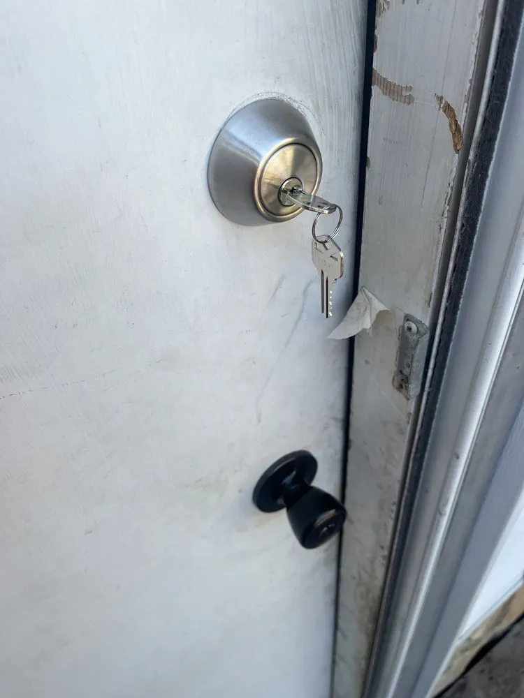 Professional yard cleanup service in Mandan, ND - Brandon Blowers