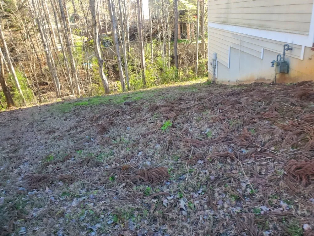 Trusted garden landscaping in Austell, GA - Brandon Enterprises