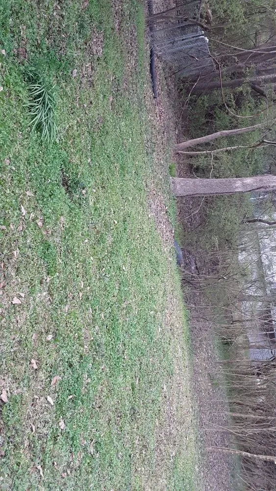 Custom garden landscaping in Austell, GA - Brandon Enterprises