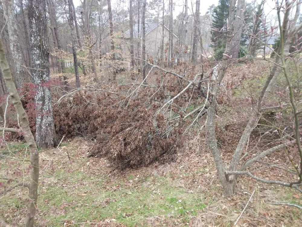 Top-rated residential landscaping experts serving Austell, GA - Brandon Enterprises