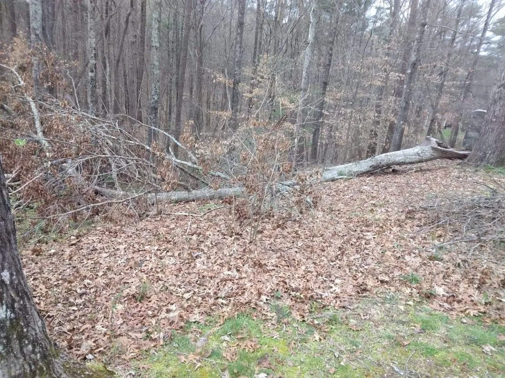 Professional residential landscaping for beautiful yards in Austell, GA by Brandon Enterprises