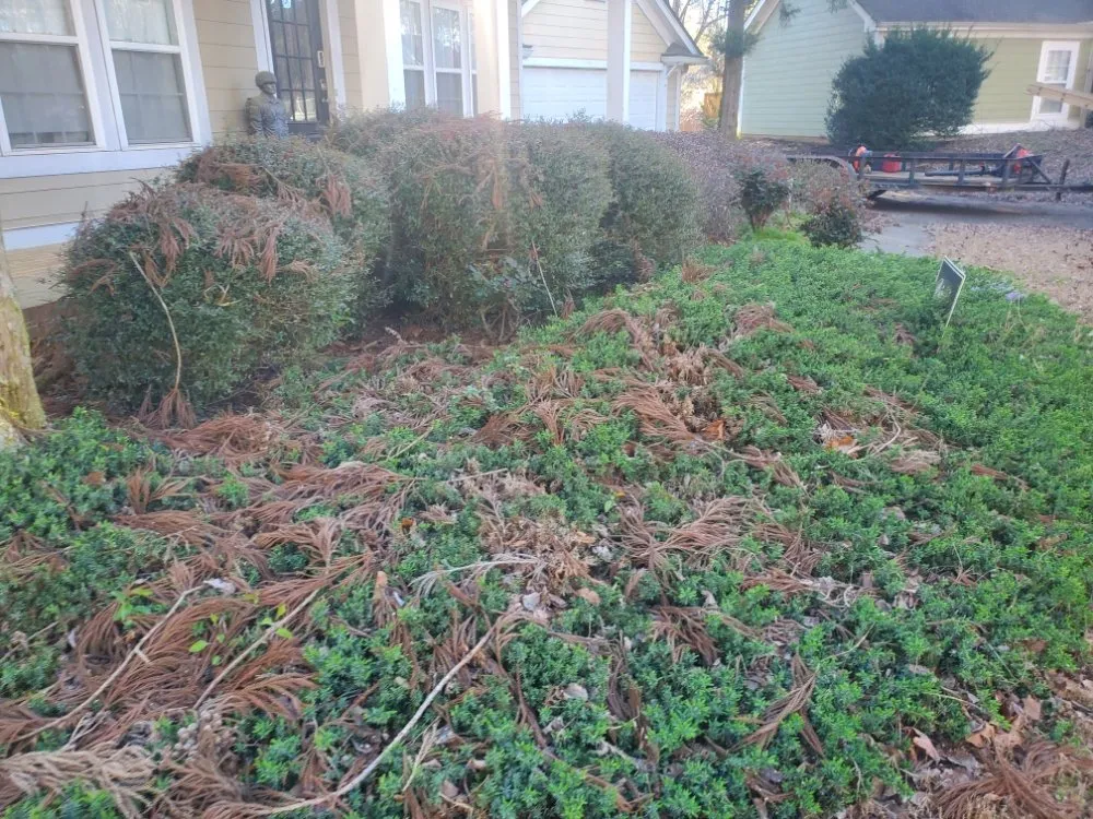 Affordable garden landscaping for homes across Austell, GA - Brandon Enterprises