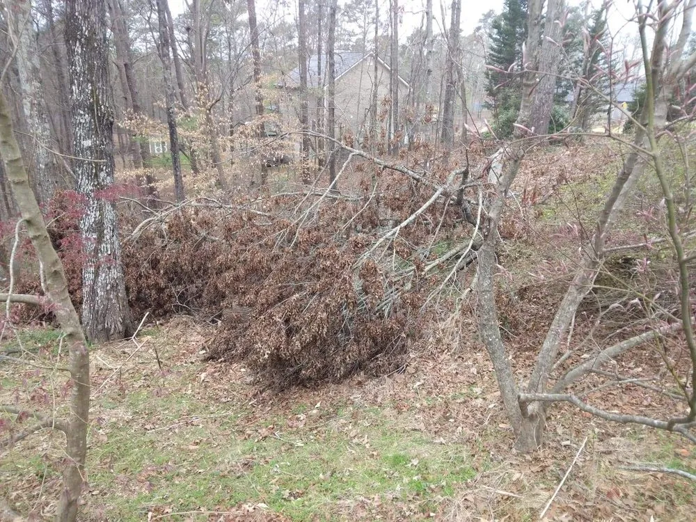 Local garden landscaping in Austell, GA by Brandon Enterprises