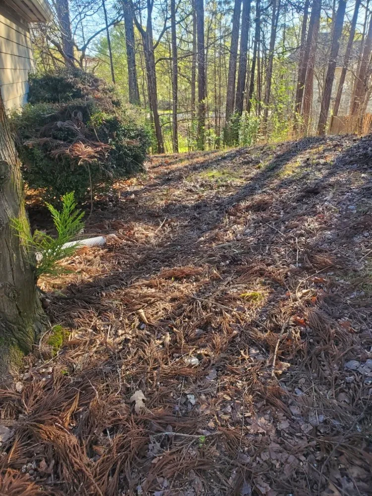 Top-rated landscape installation near you across Austell, GA - Brandon Enterprises