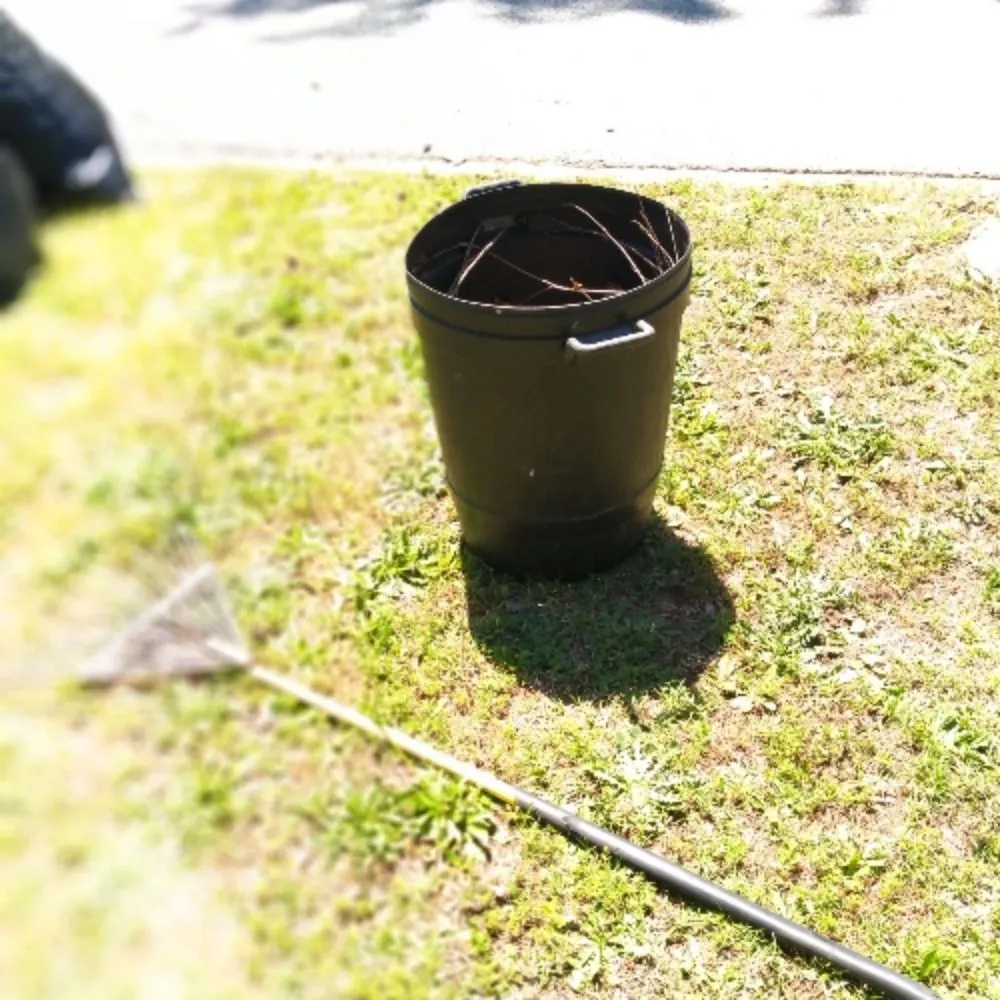 Custom landscape installation for year-round maintenance across Batesburg, SC - Brandon Garcia