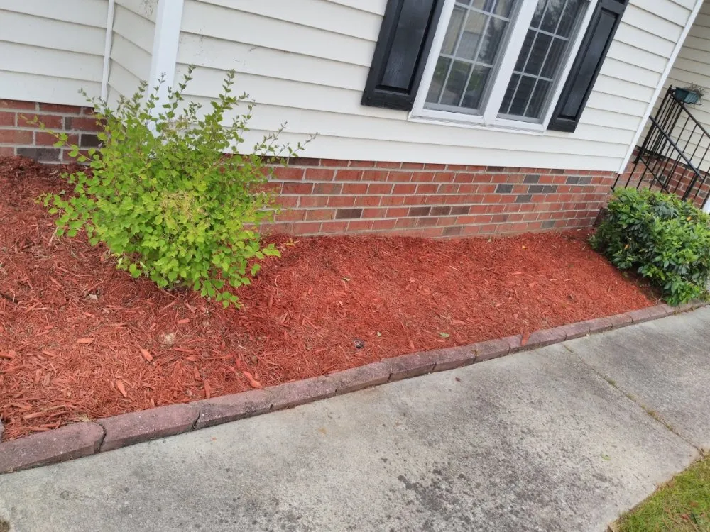 Affordable yard cleanup service experts serving Batesburg, SC - Brandon Garcia
