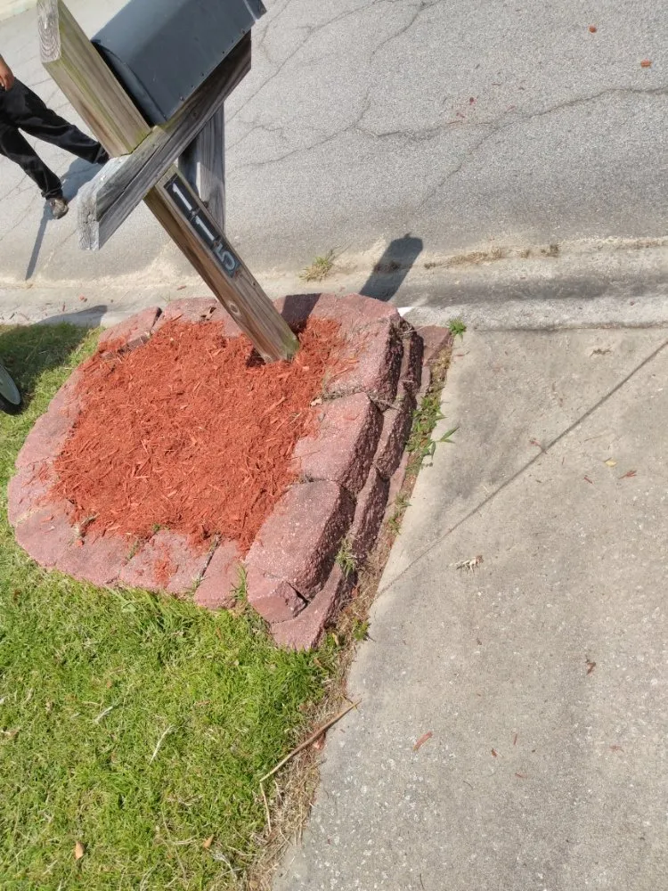 Trusted lawn mowing service in Batesburg, SC - Brandon Garcia