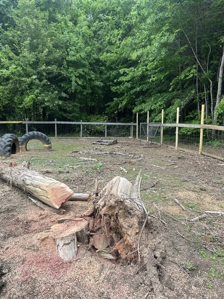 Expert lawn mowing service in Lenoir, NC - Brandon Home Improvements & Lawn Care