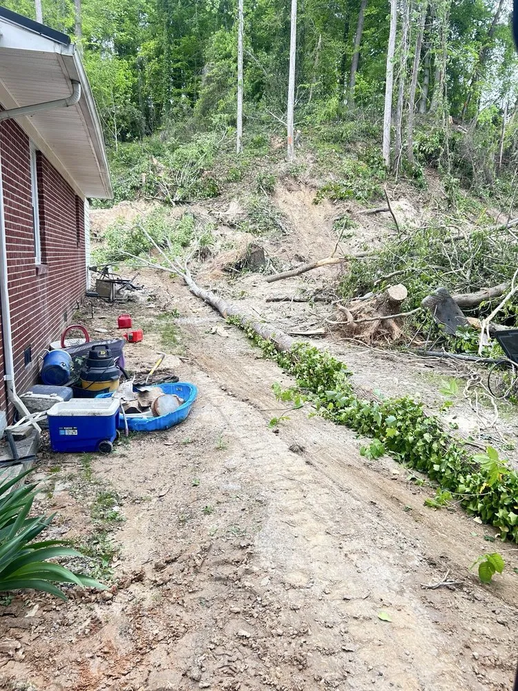 Reliable outdoor landscaping for year-round maintenance in Lenoir, NC by Brandon Home Improvements & Lawn Care