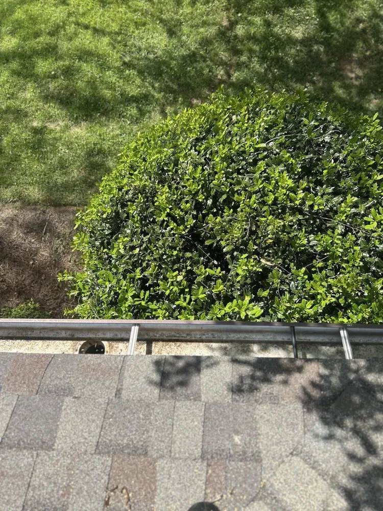 Affordable yard maintenance for year-round maintenance across Lenoir, NC - Brandon Home Improvements & Lawn Care