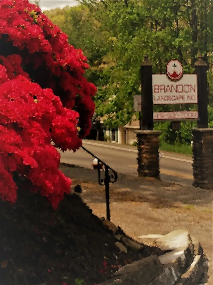 Expert lawn mowing service with custom design in Pittsburgh, PA by Brandon Landscape