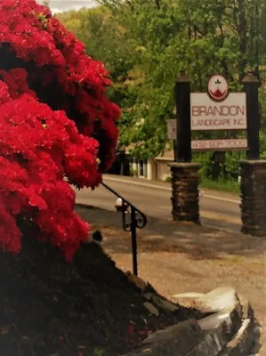 Brandon Landscape Logo