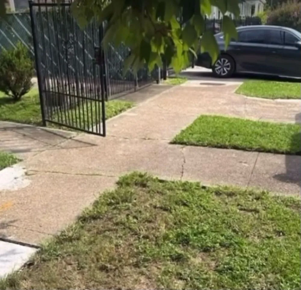 Local residential landscaping for outdoor upgrades across New Orleans, LA - Brandon Lawn Care