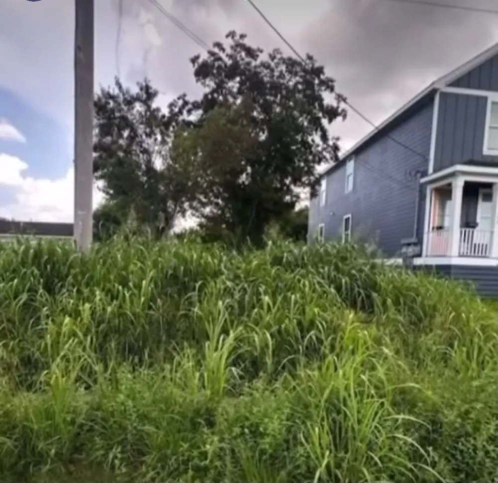 Trusted landscaping services in New Orleans, LA by Brandon Lawn Care