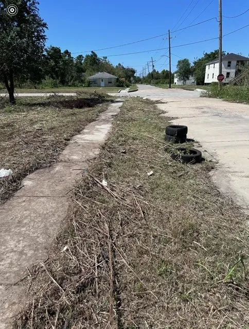 Reliable lawn mowing service in New Orleans, LA by Brandon Lawn Care