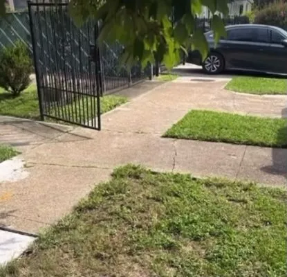 Brandon Lawn Care Logo