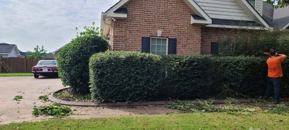 Local landscape design experts serving Perry, GA - Brandon Pest Control