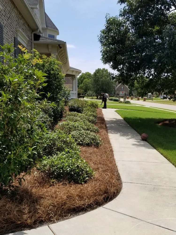 Affordable landscape installation for residential properties in Perry, GA by Brandon Pest Control