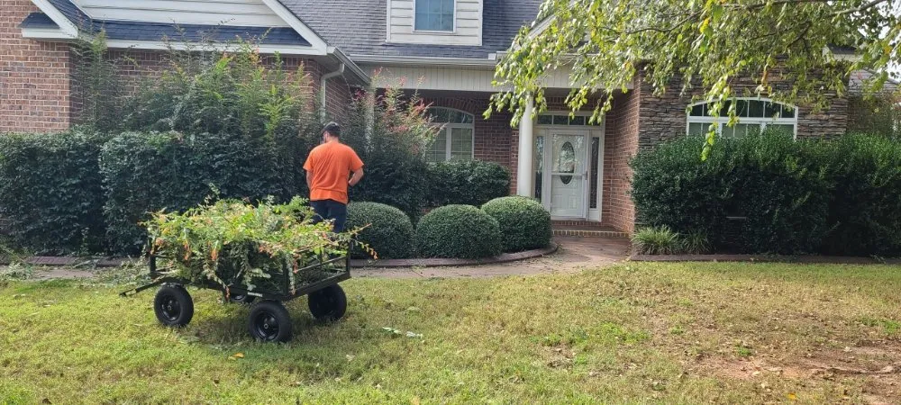 Affordable landscape installation for year-round maintenance across Perry, GA - Brandon Pest Control