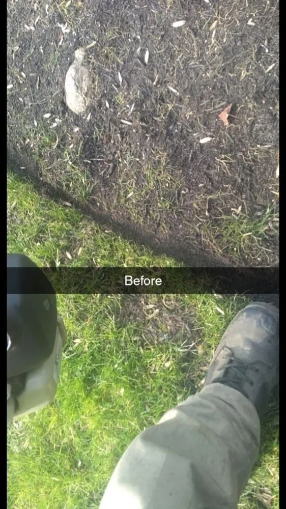 Professional lawn care service in Newport News, VA - Brandon Precision Landscaping